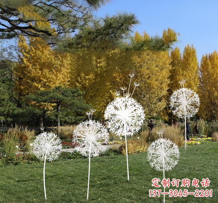 浙江不锈钢蒲公英景观雕塑艺术与美的完美结合