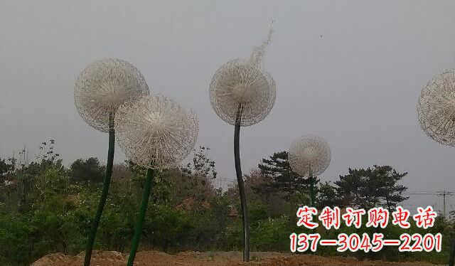 浙江蒲公英的绚丽多彩
