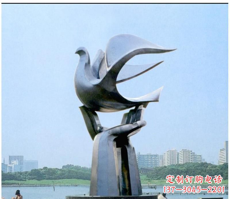 浙江静谧之鸽,传递和平象征~