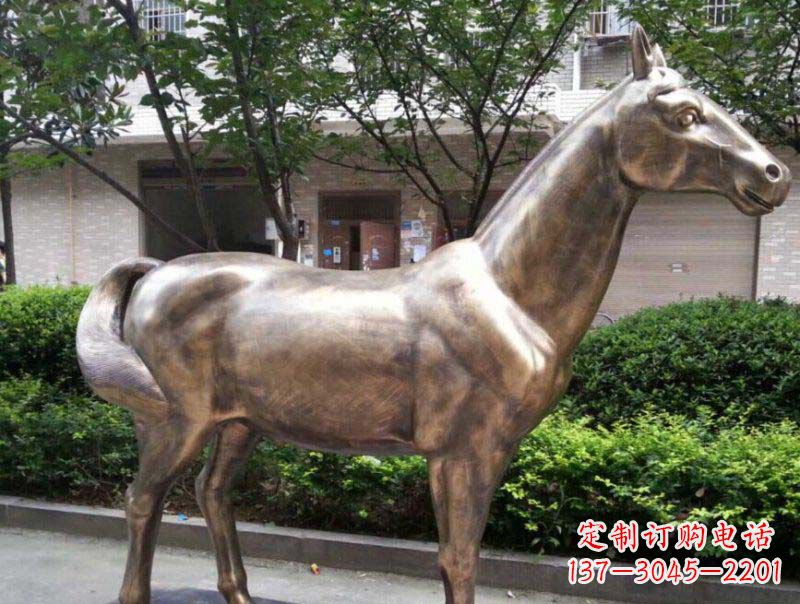 浙江精美铜雕动物