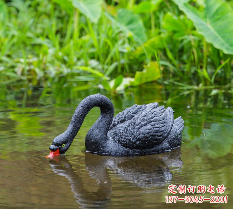 浙江黑天鹅喝水款-池塘水塘装饰动物雕塑摆件