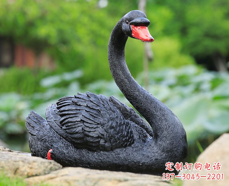 浙江黑色天鹅卧姿雕塑-园林水景动物摆件