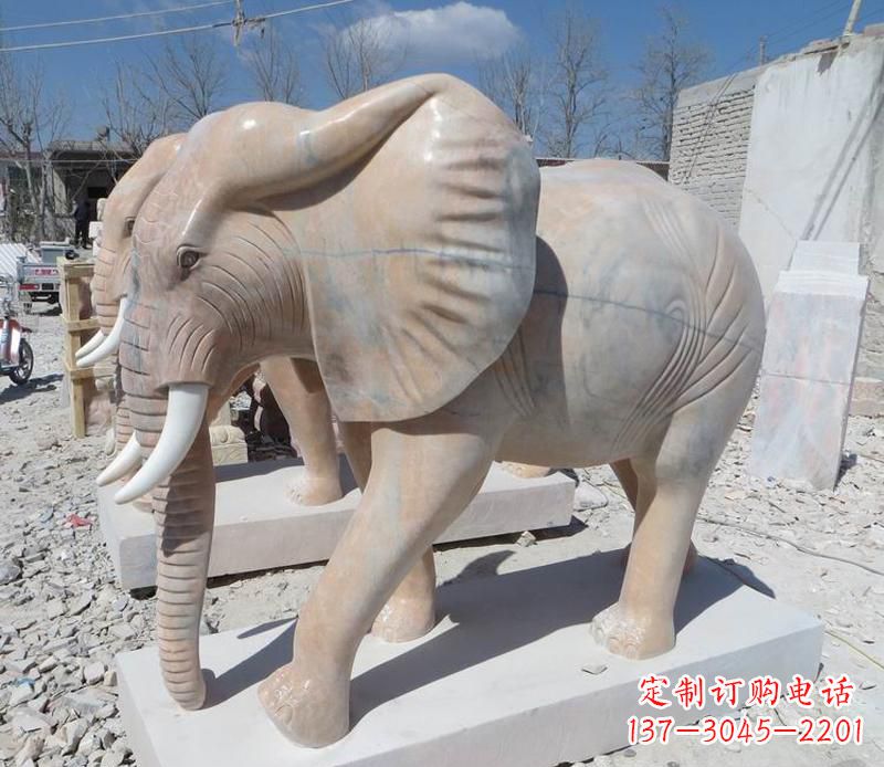 浙江晚霞红卷鼻大象